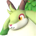 Caprity portrait