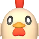 Chikipi portrait