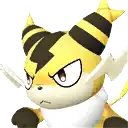 Sparkit portrait
