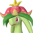 Dinossom portrait