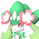 Petallia portrait
