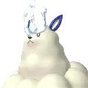 Kingpaca Cryst portrait