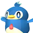Pengullet portrait