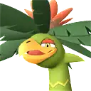 Palumba portrait